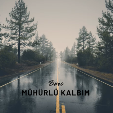 دانلود آلبوم Mühürlü Kalbim (2021) از Böri