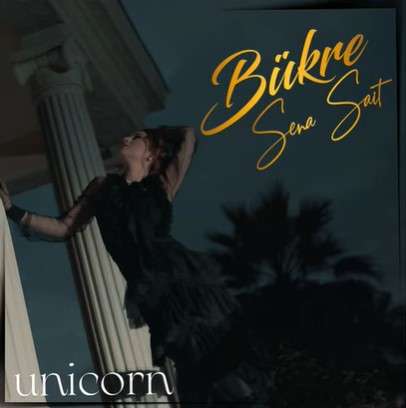 دانلود آلبوم Unicorn (2022) از Bükre Sena Sait