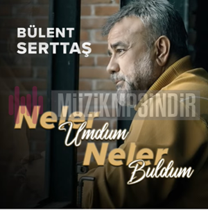 دانلود آلبوم Neler Umdum Neler Buldum (2023) از Bülent Serttaş