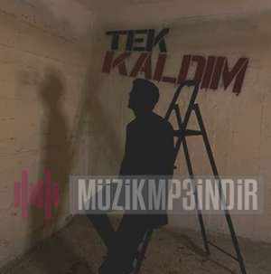 دانلود آلبوم Tek Kaldım (2022) از Bym
