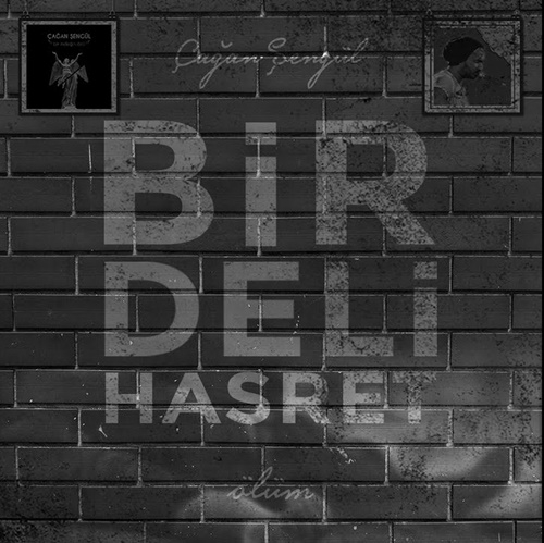 دانلود آلبوم Bir Deli Hasret Ölüm (2020) از Çağan Şengül