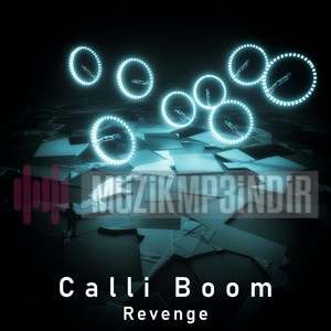 دانلود آلبوم Revenge (2020) از Calli Boom