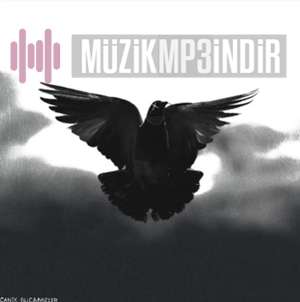 دانلود آلبوم Bu Caddeler (2022) از Canik