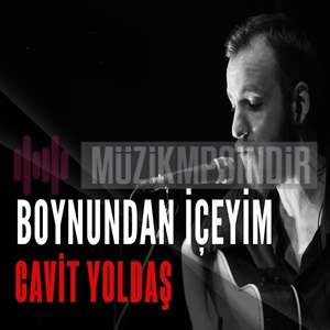 دانلود آلبوم Boynundan İçeyim (2021) از Cavit Yoldaş