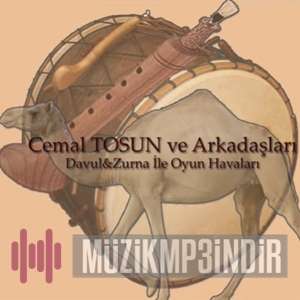 دانلود آلبوم Davul Zurna ile Oyun Havaları (2020) از Cemal Tosun