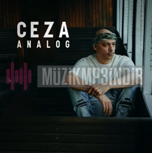 دانلود آلبوم Analog (2023) از Ceza