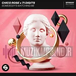 دانلود آلبوم Somebodys Watching Me (2020) از Chico Rose