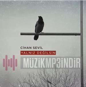 دانلود آلبوم Yalnız Değilsin (2022) از Cihan Sevil