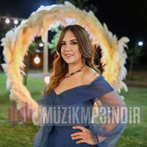 دانلود آلبوم Dut Ağacı Dut Verir (2022) از Damla Yılmaz