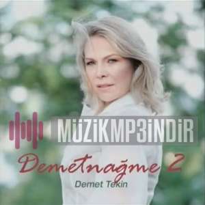 دانلود آلبوم Demetnağme 2 (2020) از Demet Tekin