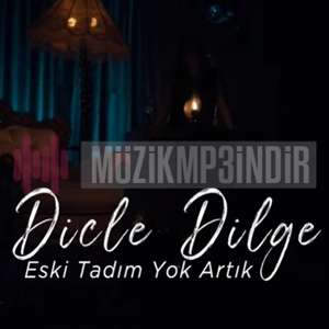 دانلود آلبوم Eski Tadım Yok Artık (2022) از Dicle Dilge