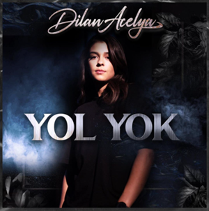 دانلود آلبوم Yol Yok (2020) از Dilan Acelya