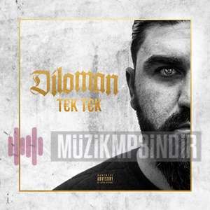 دانلود آلبوم Tek Tek (2020) از Diloman