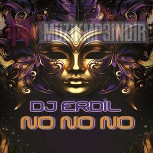 دانلود آلبوم No No No (2024) از Dj Erdil