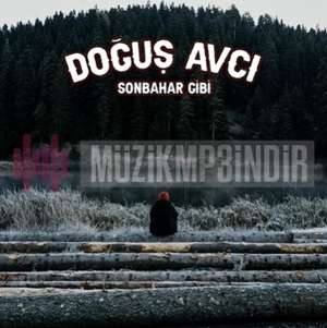 دانلود آلبوم Sonbahar Gibi (2022) از Doğuş Avcı
