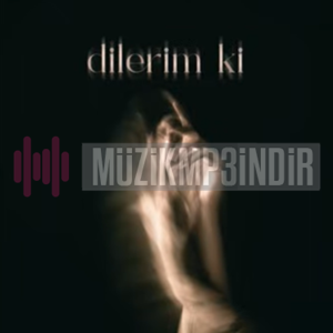 دانلود آلبوم Dilerim Ki (2024) از Dolu Kadehi Ters Tut