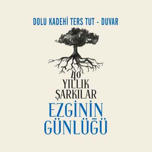 دانلود آلبوم Duvar (2020) از Dolu Kadehi Ters Tut