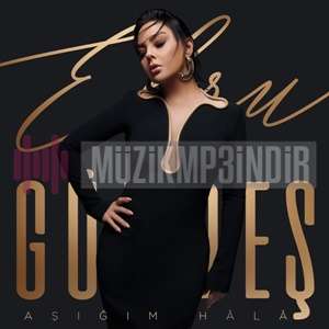 دانلود آلبوم Aşığım Hala (2023) از Ebru Gündeş