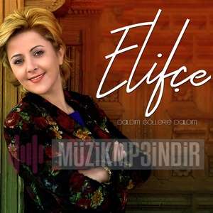 دانلود آلبوم Daldım Göllere Daldım (2020) از Elifçe