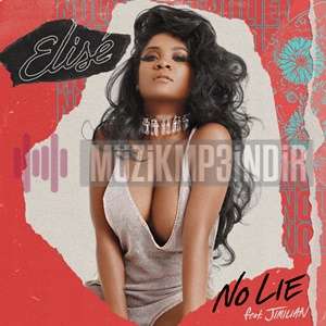 دانلود آلبوم No Lie (2021) از Elise