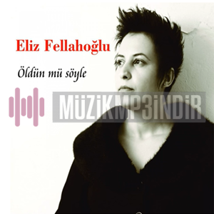 دانلود آلبوم Öldün Mü Söyle (2016) از Eliz Fellahoğlu