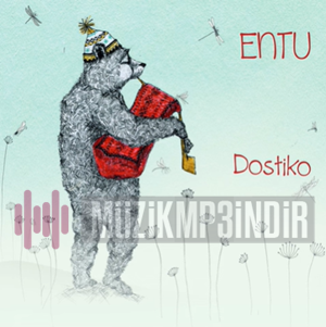 دانلود آلبوم Dostiko (2016) از Entu