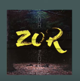 دانلود آلبوم Zor (2021) از Eren Küçükdoğan