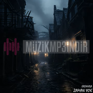 دانلود آلبوم Zaman Yok (2023) از Erenuila