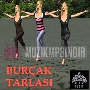 دانلود آلبوم Burçak Tarlası (2018) از Eşber Güzel