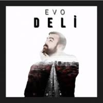 دانلود آلبوم Deli (2020) از Evo