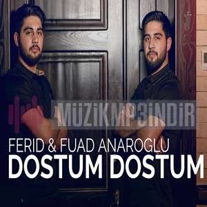 دانلود آلبوم Dostum Dostum (2022) از Ferid