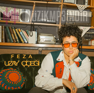دانلود آلبوم Uzay Çiçeği (2023) از Feza