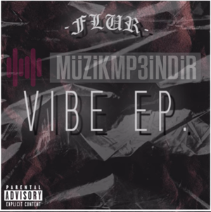 دانلود آلبوم Vibe (2022) از Flur