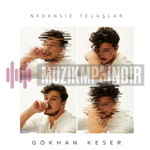 دانلود آلبوم Nedensiz Telaşlar (2023) از Gökhan Keser