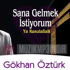 دانلود آلبوم Sana Gelmek İstiyorum (2016) از Gökhan Öztürk