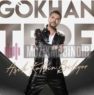 دانلود آلبوم Aşık Kalbin Biliyor (2022) از Gökhan Tepe