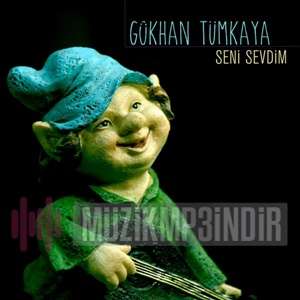 دانلود آلبوم Seni Sevdim (2016) از Gökhan Tümkaya