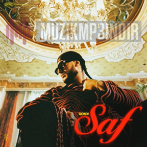 دانلود آلبوم Saf (2023) از GOKO