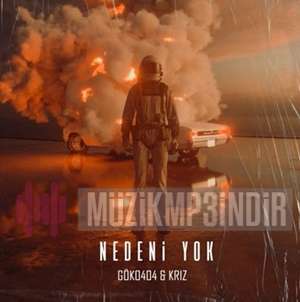 دانلود آلبوم Nedeni Yok (2022) از GOKO404