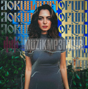 دانلود آلبوم Dokunamıyorum (2024) از Gönül Filiz