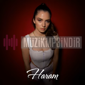 دانلود آلبوم Haram (2023) از Gönül Filiz
