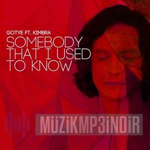 دانلود آلبوم Somebody That I Used To Know (2011) از Gotye
