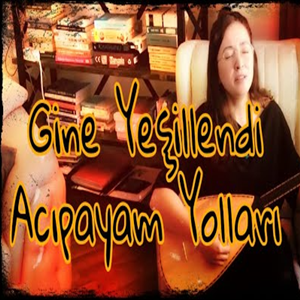 دانلود آلبوم Gine Yeşillendi Acıpayam Yolları (2021) از Gülnur Kaya