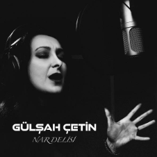 دانلود آلبوم Nar Delisi (2020) از Gülşah Çetin