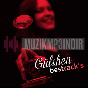 دانلود آلبوم BesTrack's (2023) از Gülshen