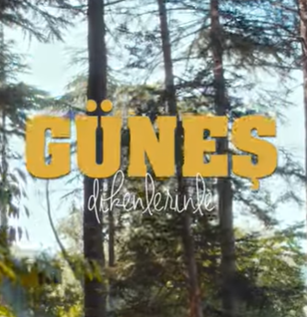 دانلود آلبوم Dikenlerinle (2021) از Güneş