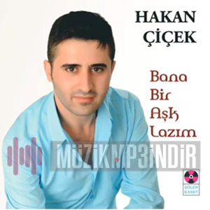 دانلود آلبوم Bana Bir Aşk Lazım (2014) از Hakan Çiçek