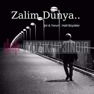 دانلود آلبوم Zalim Dünya (2023) از Halil Büyükler