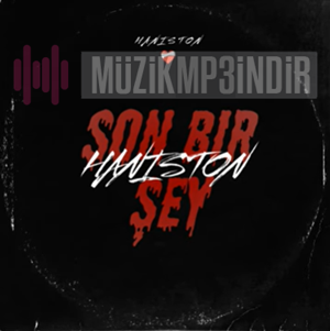 دانلود آلبوم Son Bir Şey (2023) از Haniston