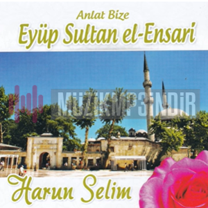دانلود آلبوم Anlat Bize (2015) از Harun Selim